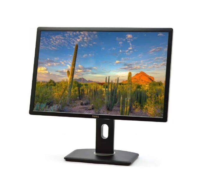 Dell 24" monitori rent